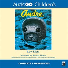 Cover image for Andre