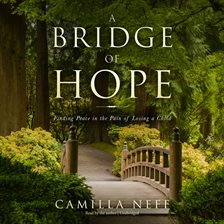 Cover image for A Bridge of Hope