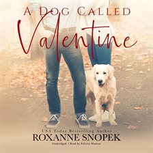Cover image for A Dog Called Valentine