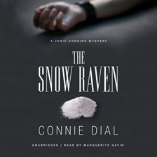 Cover image for The Snow Raven
