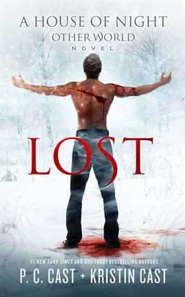 Cover image for Lost