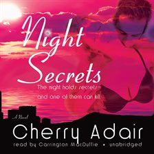 Cover image for Night Secrets