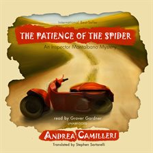 Cover image for The Patience of the Spider