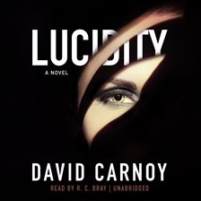 Cover image for Lucidity