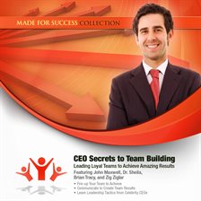 Cover image for CEO Secrets to Team Building