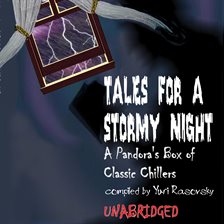 Cover image for Tales for a Stormy Night