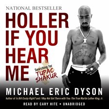 Cover image for Holler If You Hear Me