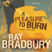 Cover image for A Pleasure to Burn