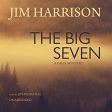 Cover image for The Big Seven