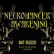 Cover image for Necromancer Awakening