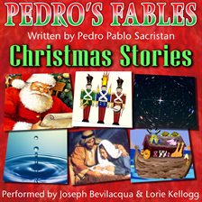 Imagen de portada para Spanish Christmas Stories for Children