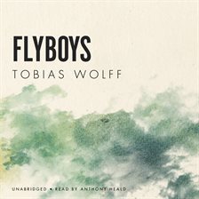 Cover image for Flyboys