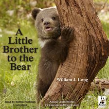 Cover image for A Little Brother To The Bear