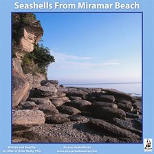 Cover image for Seashells From Miramar Beach