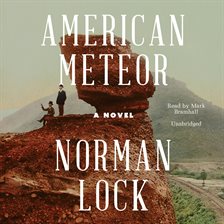 Cover image for American Meteor