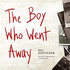 Cover image for The Boy Who Went Away