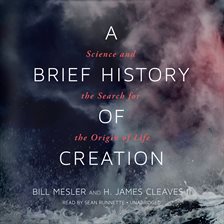 Cover image for A Brief History of Creation