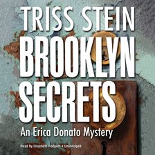 Cover image for Brooklyn Secrets