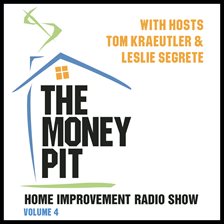 Cover image for The Money Pit, Vol. 4