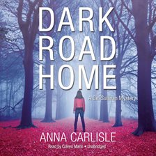 Imagen de portada para Dark Road Home