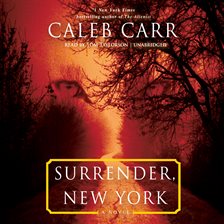 Cover image for Surrender, New York