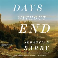 Cover image for Days without End