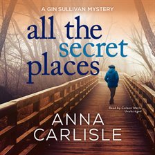 Imagen de portada para All the Secret Places