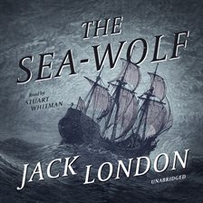 Cover image for The Sea-Wolf