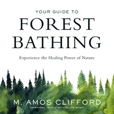 Cover image for Your Guide to Forest Bathing