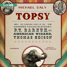 Cover image for Topsy