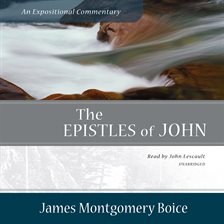 Cover image for The Epistles of John