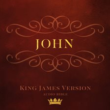 Cover image for Book of John