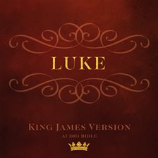 Cover image for Book of Luke