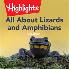 Cover image for All About Lizards and Amphibians Collection