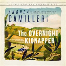 Cover image for The Overnight Kidnapper