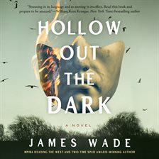Cover image for Hollow Out the Dark