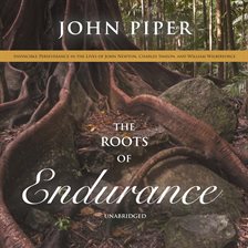 Cover image for The Roots of Endurance