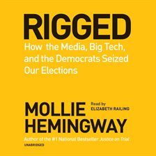 Cover image for Rigged
