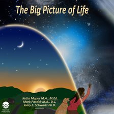 Cover image for The Big Picture of Life