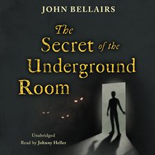 Cover image for The Secret of the Underground Room