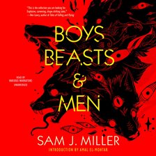 Cover image for Boys, Beasts & Men