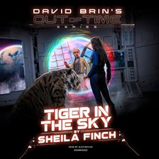 Cover image for Tiger in the Sky