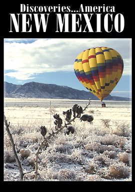 Cover image for New Mexico