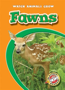 Cover image for Fawns
