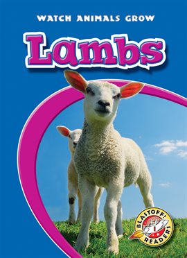 Cover image for Lambs