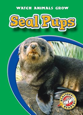Cover image for Seal Pups