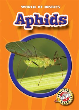 Imagen de portada para Aphids