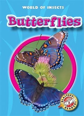 Imagen de portada para Butterflies
