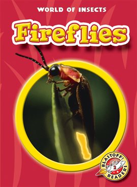 Cover image for Fireflies