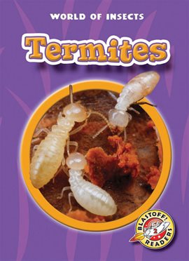 Imagen de portada para Termites